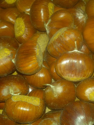 Marroni